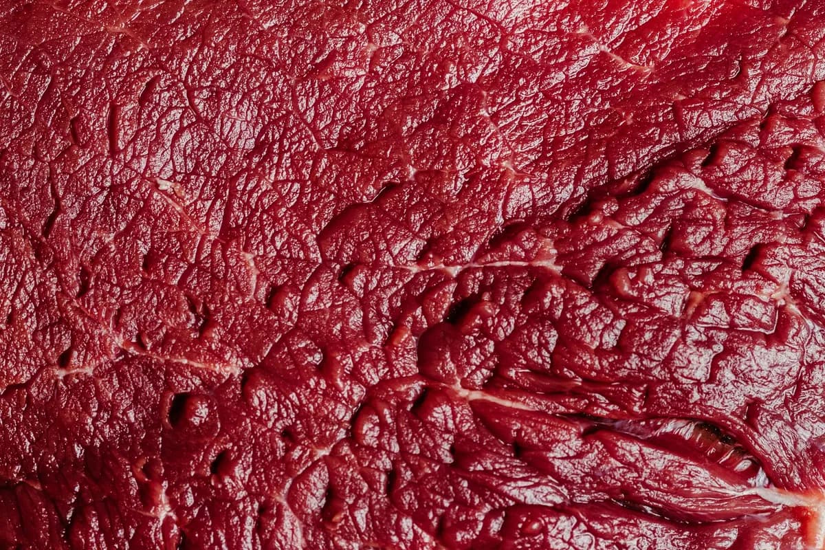 Can Cats Eat Beef? Safe Feeding Tips for Cat Owners — PurrWise guide