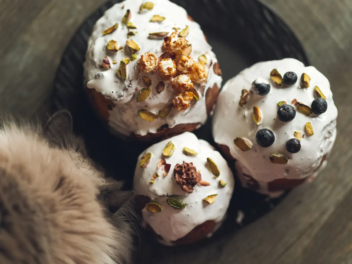 Can Cats Eat Blueberries? Yes, But Plain, Washed, and in Tiny Portions — PurrWise guide