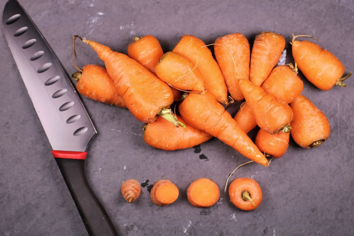 Can Cats Eat Carrots? Safe Serving Tips for Cat Owners — PurrWise guide