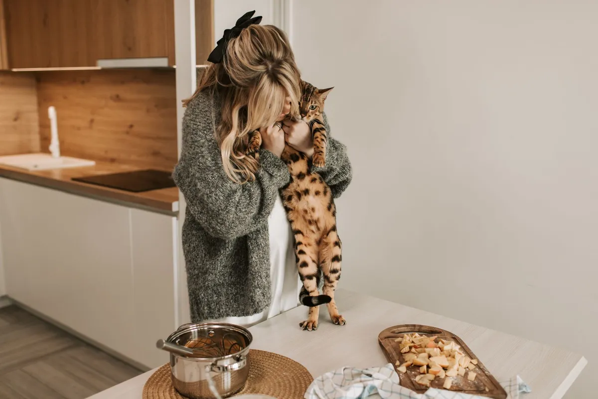Can Cats Eat Cheese? The Truth About Lactose and Dairy — PurrWise guide