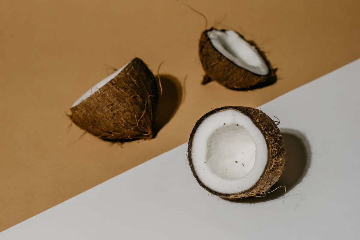 Can Cats Eat Coconut? Flesh, Oil & Water Notes — PurrWise guide