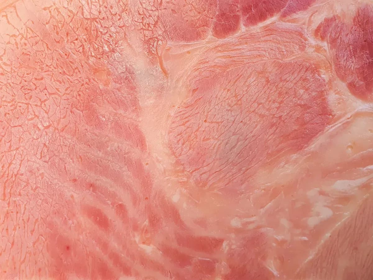 Can Cats Eat Ham or Deli Meat? The Safe Way to Share a Treat — PurrWise guide