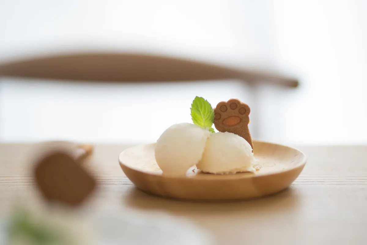 Can Cats Eat Ice Cream? Lactose Risks and Safer Alternatives — PurrWise guide