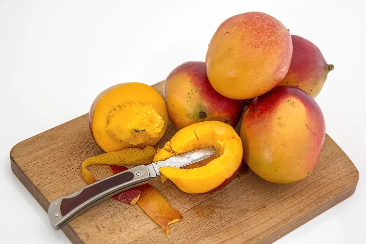 Can Cats Eat Mango? Sweet Fruit Safety Guide — PurrWise guide