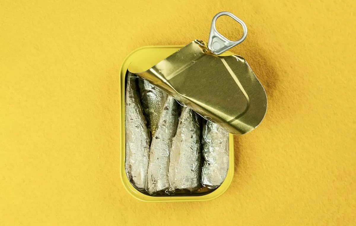 Can Cats Eat Sardines? Boneless & Water-Packed Only — PurrWise guide