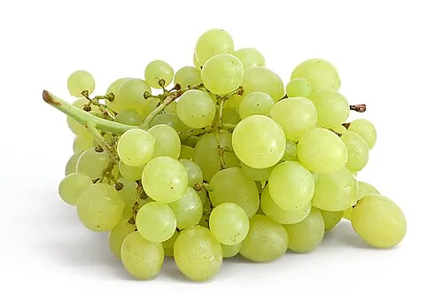 Fresh table grapes and dark raisins