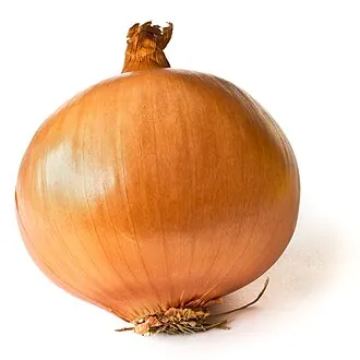 Fresh yellow onions and garlic bulbs